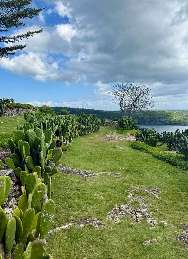 去巴厘島旅遊不得不玩嘅路線！