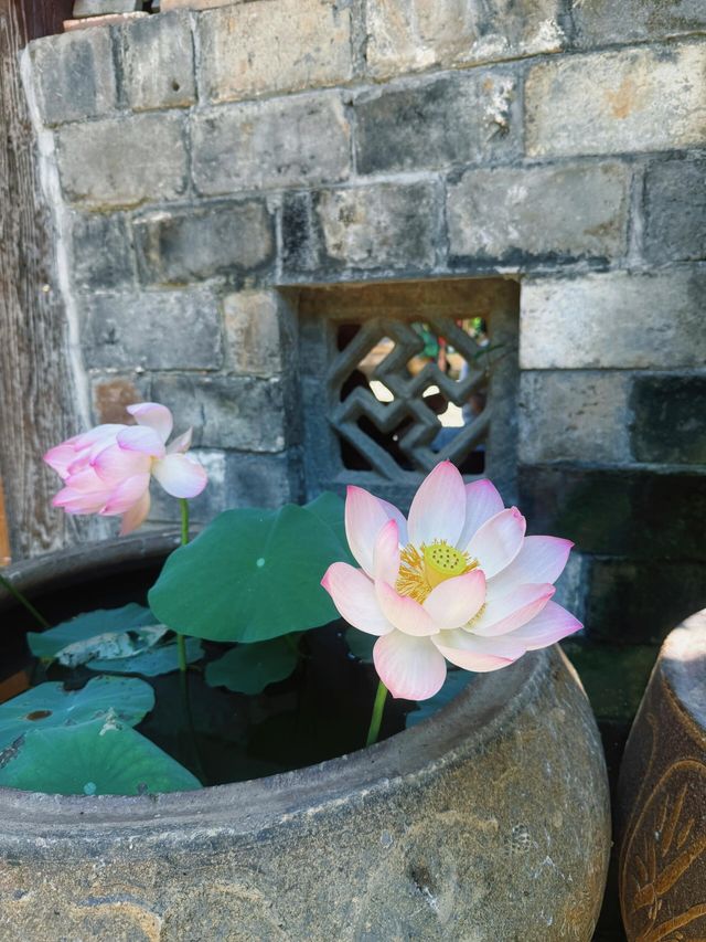 浦江龍德古寺｜隱於山林的治癒秘境，週末減壓天花板！