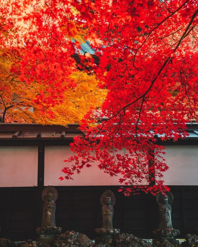 日本白馬村5天紅葉溫泉攻略