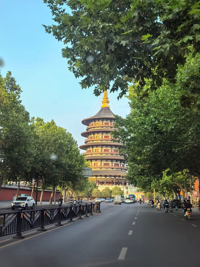 2025年河南8日全家遊👑