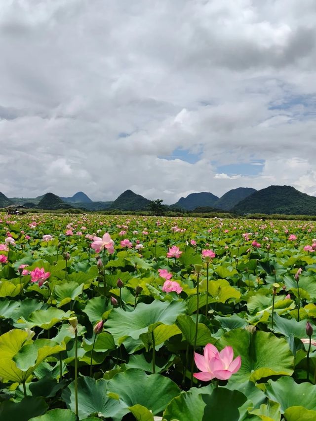 珠海出發｜雲南小眾避暑5日遊