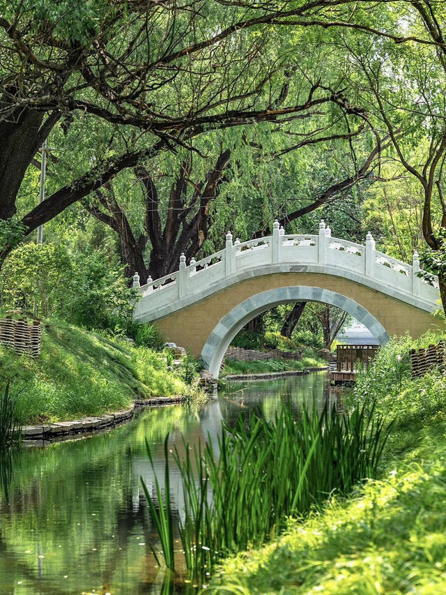 喺北京一個唔小心跌入初夏嘅綠野仙蹤