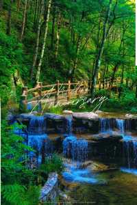 「秦嶺心臟🫀」邂逅佛坪熊貓谷