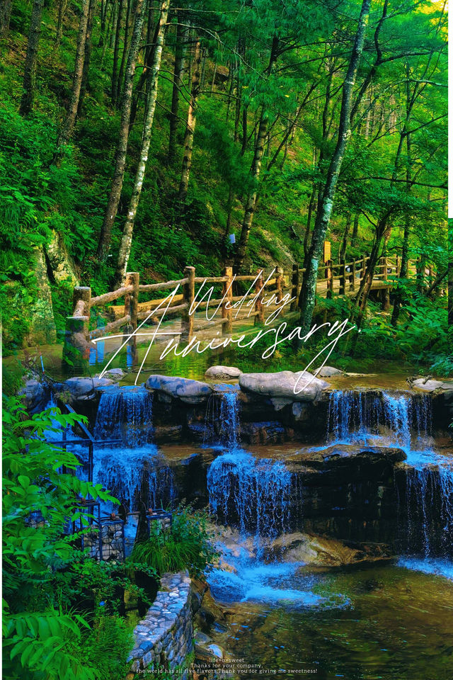 「秦嶺心臟🫀」邂逅佛坪熊貓谷 「秦嶺心臟🫀」邂逅佛坪熊貓谷