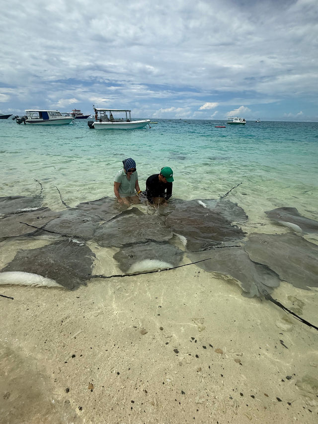 Magical Honeymoon at Lily Beach Resort