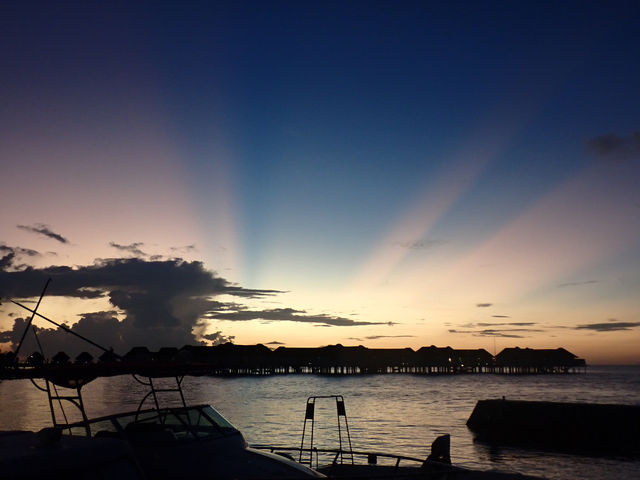 Returning to Paradise: A Love Letter to the Island