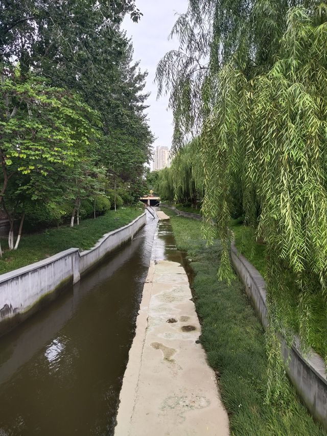 張面河畔私藏美景