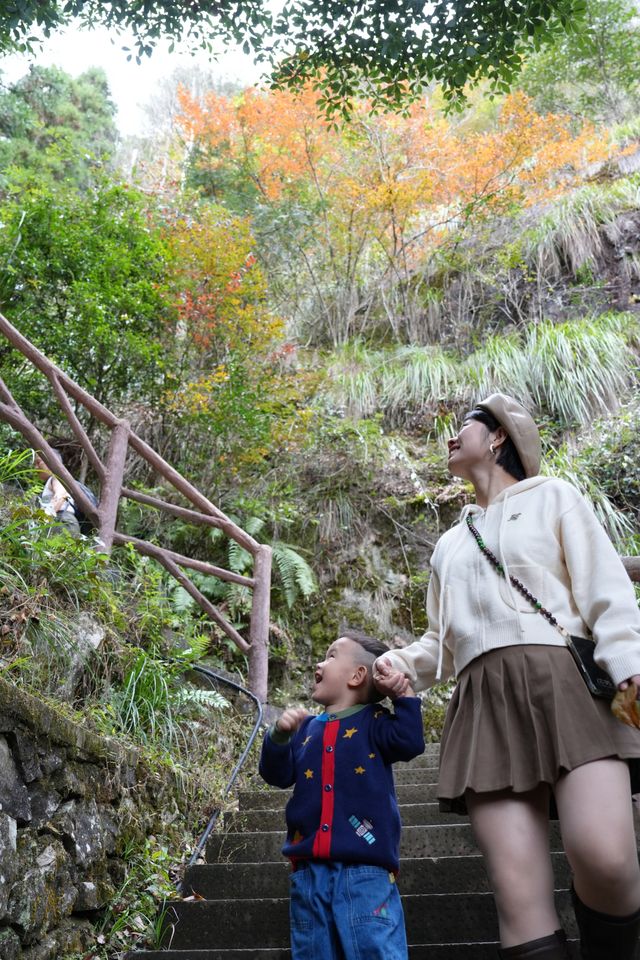 麗水景寧遊時思寺看千年古村落，雲中大漈山野徒步