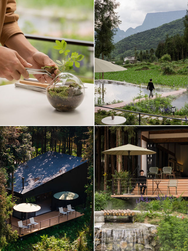 樂山秘境木屋，遭遇100%山野