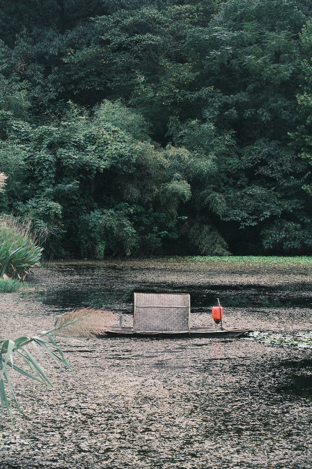 浦口再一次震撼到我，南京有自己的童話世界
