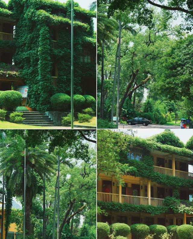柳州拍照聖地/柳州市園林科學研究所