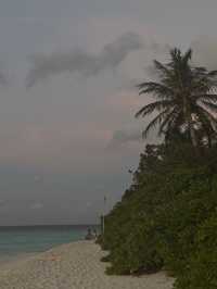 Unforgettable Experience with Stunning Views