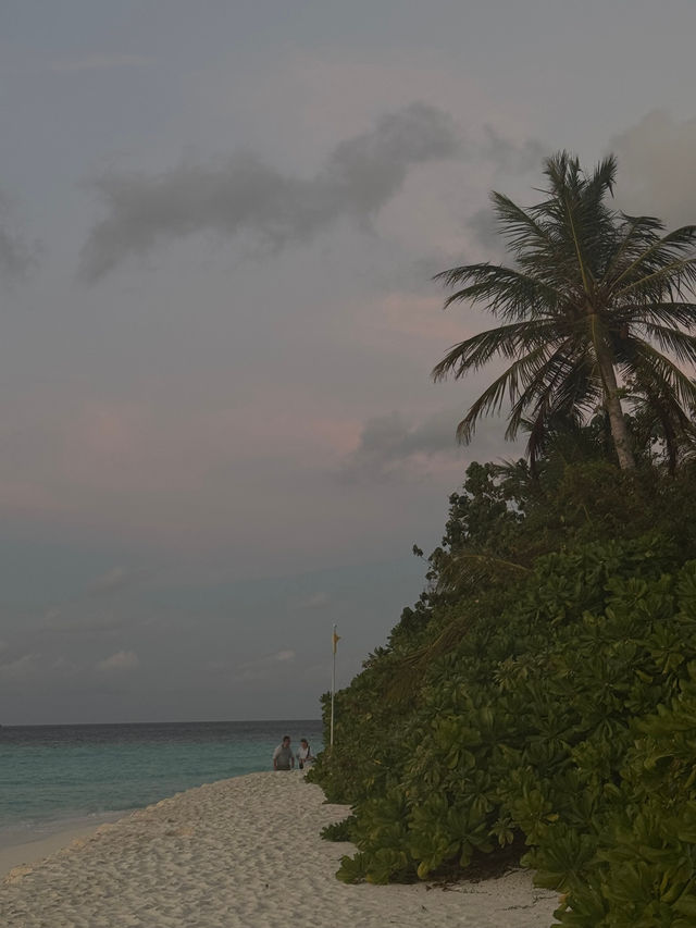 Unforgettable Experience with Stunning Views Unforgettable Experience with Stunning Views