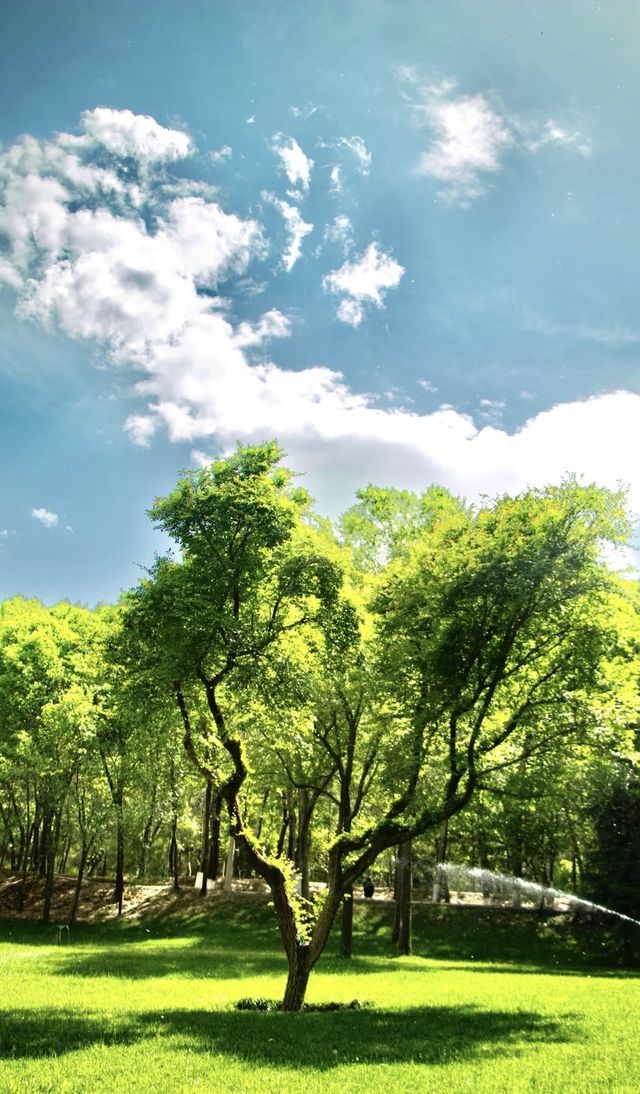 藏不住了！西寧植物園竟成影視劇取景地