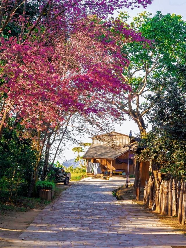 芒洪，晨霧與夕陽下的秘境