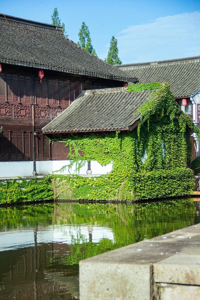紹興遛娃|與山水相逢 住美了千年的古風小鎮