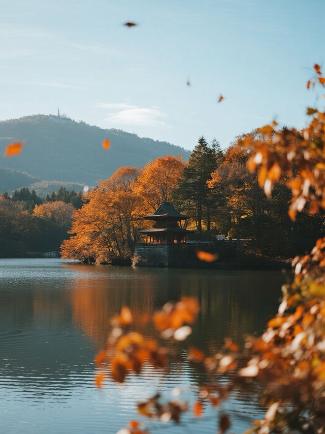 嵐山秋日手記｜在紅葉與流水間收藏王朝物語