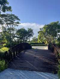 深圳最美濕地公園徒步攻略
