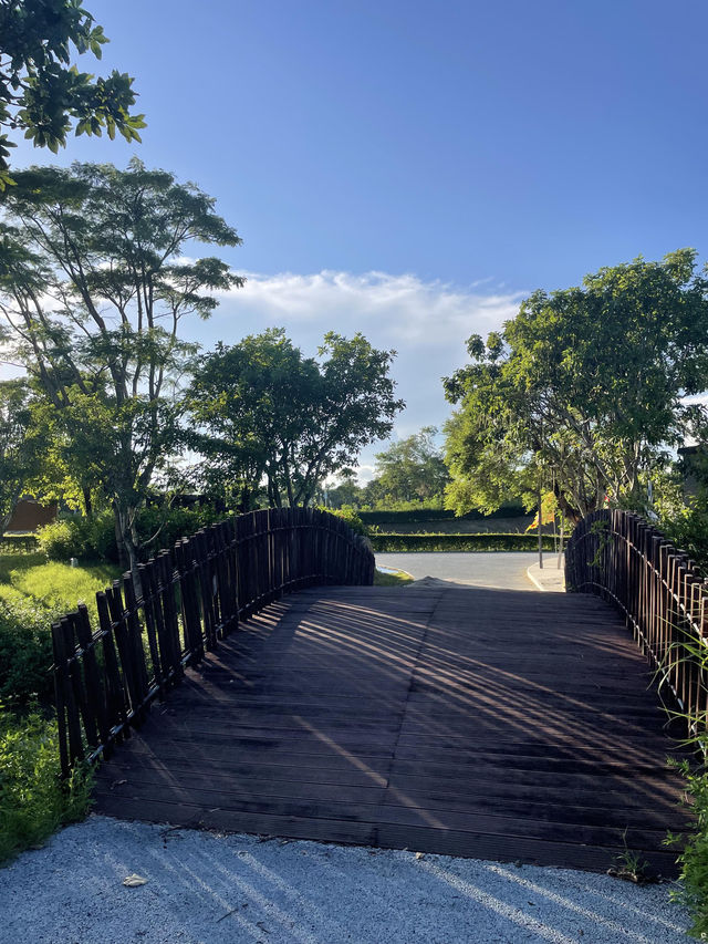 深圳最美濕地公園徒步攻略