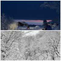 冰雪仙境打卡攻略