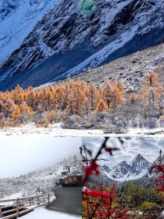 畢棚溝2天純玩我還是可以去