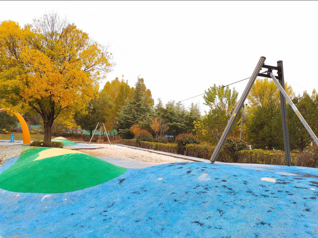 秋日漫步唐冶山公園