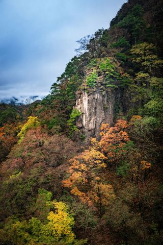 광무산의 다채로운 가을, 시그마 20-200mm 첫 촬영