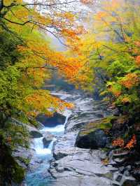 在四川邂逅油畫般的秋天米倉山紅葉季美哭我了!