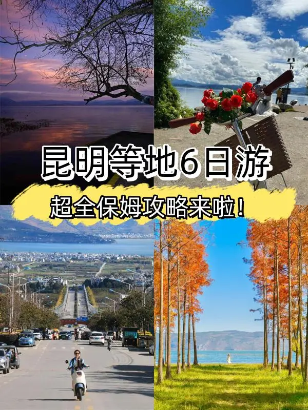 6-Day Tour of Kunming and Surrounding Areas｜Nanny-Level Guide for Quick Booking