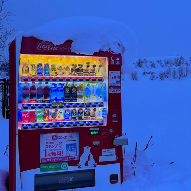 ❄️홋카이도의 겨울, 상상보다 따뜻한 눈꽃 낭만 ❄️홋카이도의 겨울, 상상보다 따뜻한 눈꽃 낭만