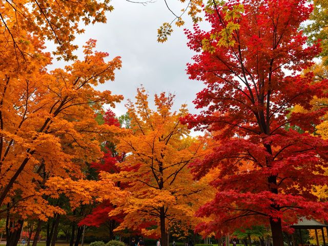 雲平山秋日仙境
