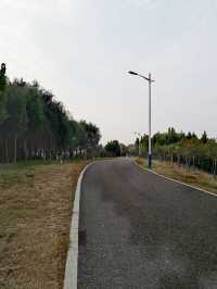 【河南省濮陽市】龍山公園。