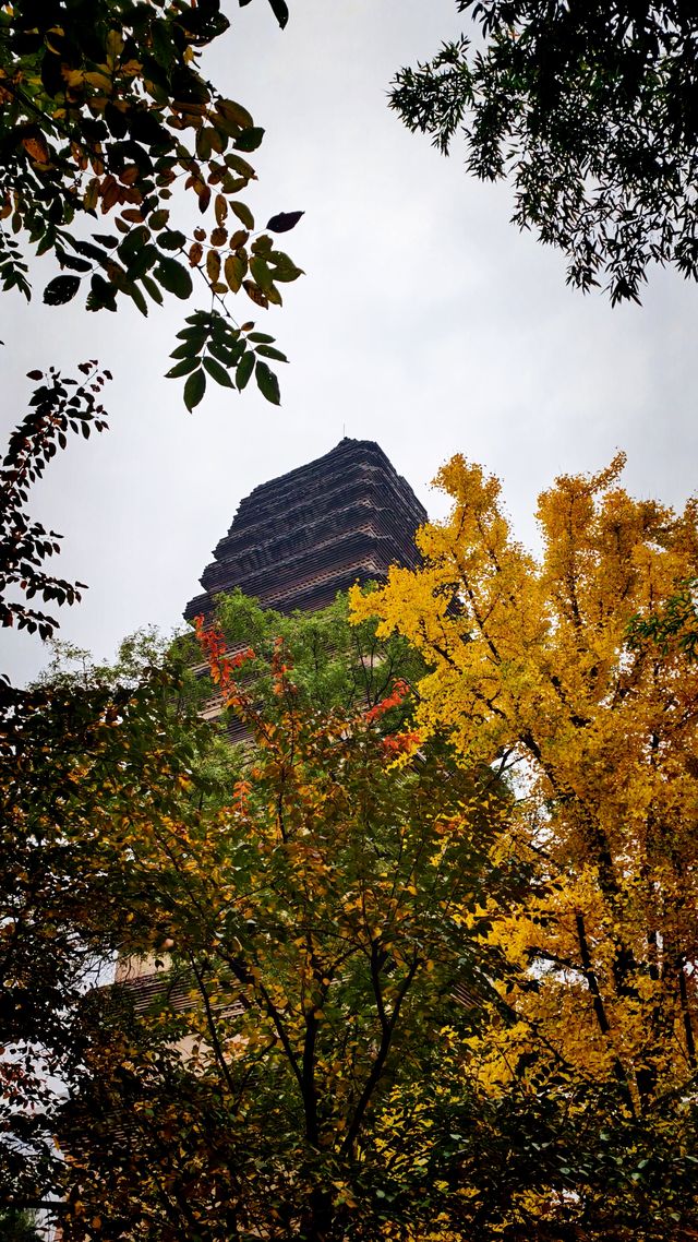 秋日去小雁塔感受歷史的厚重與自然和諧交融吧