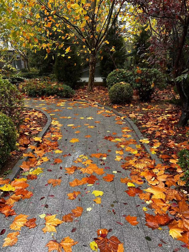 今日西安立冬,古都冬韻初顯 今日西安立冬,古都冬韻初顯