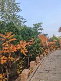 天津南翠屏｜秋日限定！層林盡染美到窒息