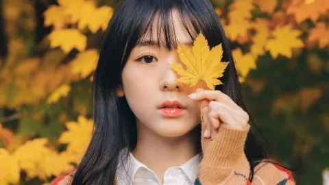 Korea's Autumn Exclusive! This maple forest is incredibly photogenic — traveler post in Ulsan