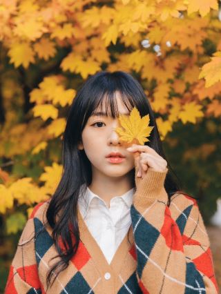 한국 가을 한정! 이 단풍 숲은 정말 사진 찍기 딱 좋아요