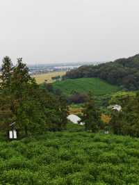 黃家山景，幽靜之中的自然詩篇。