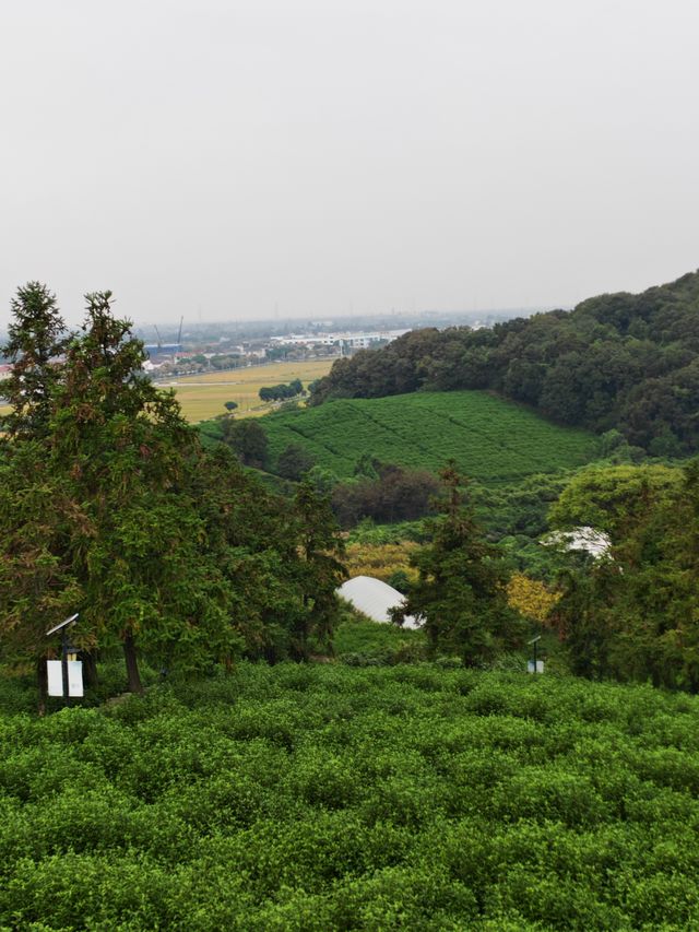 黃家山景，幽靜之中的自然詩篇。