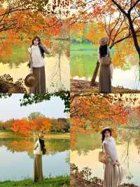 西安小眾賞秋秘境浐灞濕地公園銀杏打卡攻略