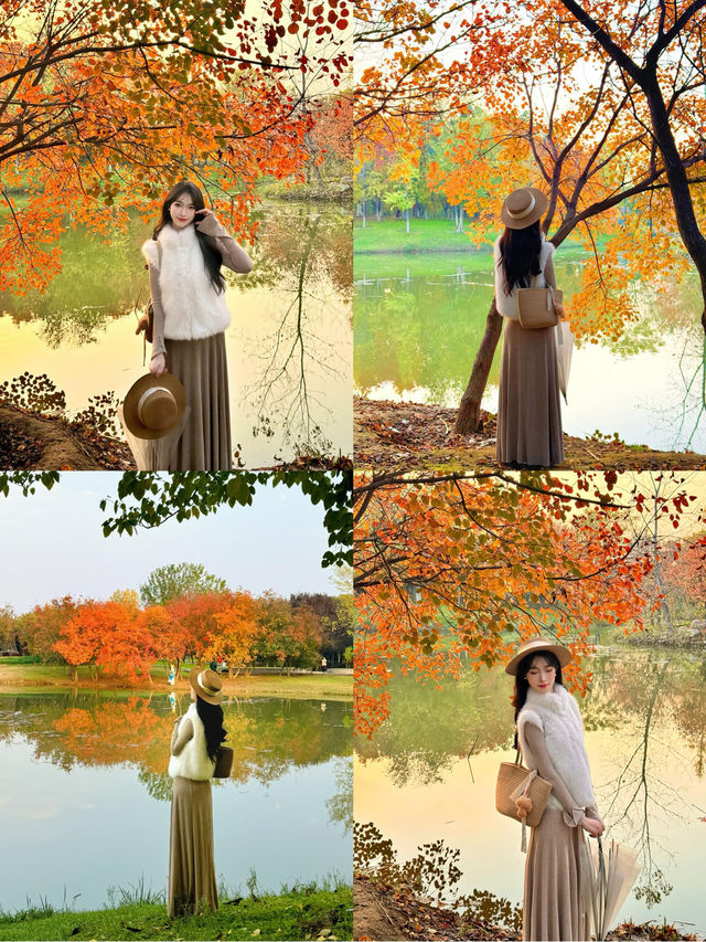 西安小眾賞秋秘境浐灞濕地公園銀杏打卡攻略