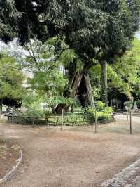 10 Cool and Quirky Things to Do in Paris! ✴️🗺