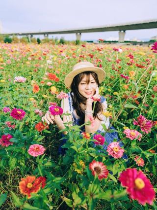 The sea of zinnias in Dajia, Taiwan, creates stunning travel photos even on rainy days! 