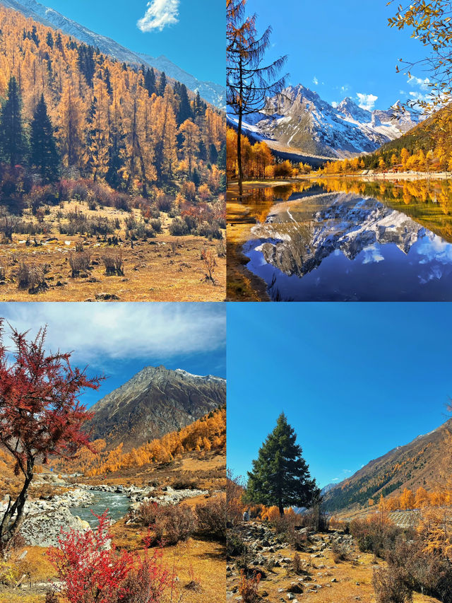 川西秋日攻略｜獨佔橫斷山脈的鎏金秘境