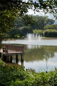 鯉魚洲丨這鯉湖邊夜景,治癒我所有內耗