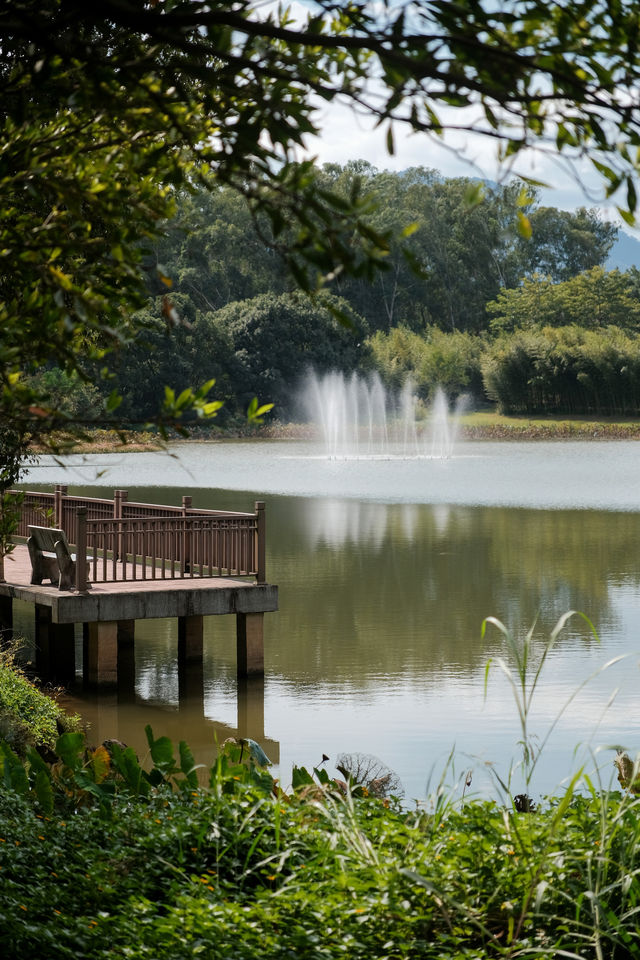 鯉魚洲丨這鯉湖邊夜景,治癒我所有內耗 鯉魚洲丨這鯉湖邊夜景,治癒我所有內耗