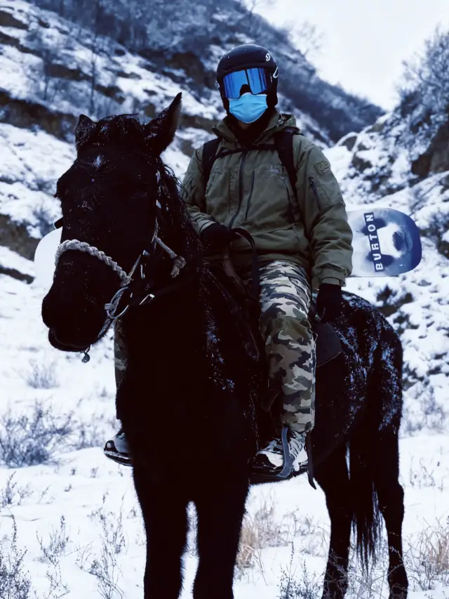 5일 4박 야부리 설원 승마 훈련 캠프 올인클루시브 광야의 눈