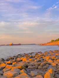 南京賞梅尋雪暴走攻略！12月錯過再等一年