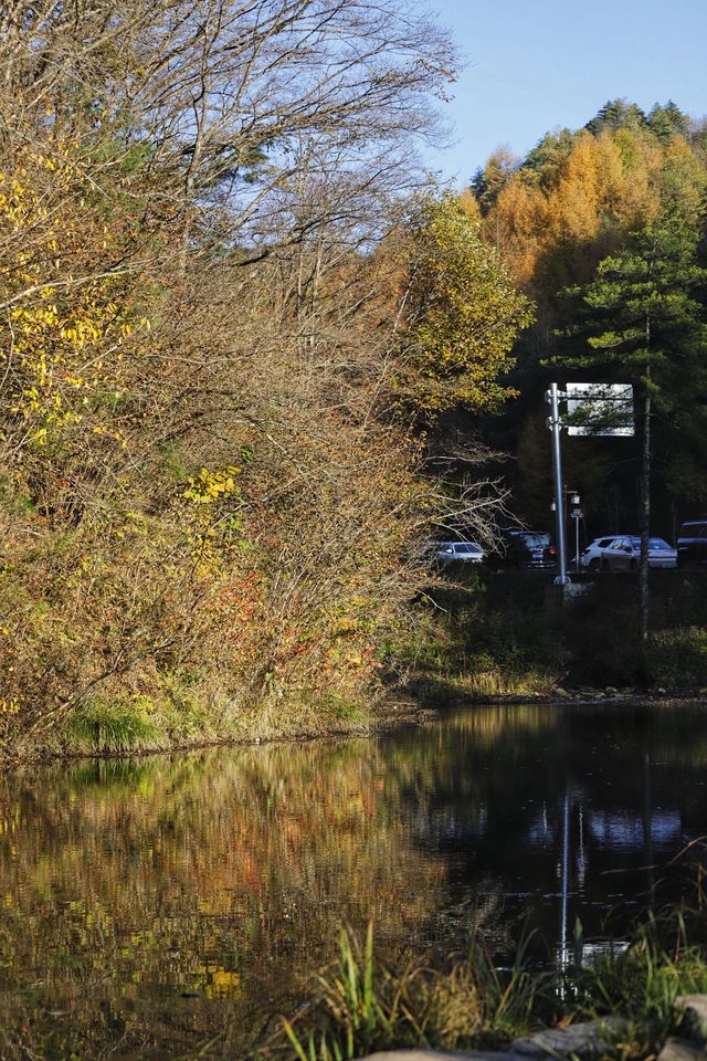 秦嶺留壩環線之情人谷