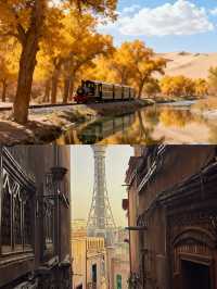 南疆胡楊秘境攻略